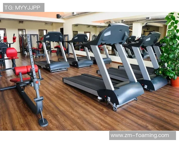 体育器材公司创意命名指南精选助您打造独特品牌形象