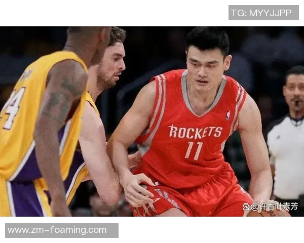 篮球明星阿的传奇之路与辉煌成就揭秘，探索他如何改变篮球世界的影响力与魅力